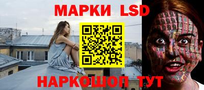 стафф Заволжье