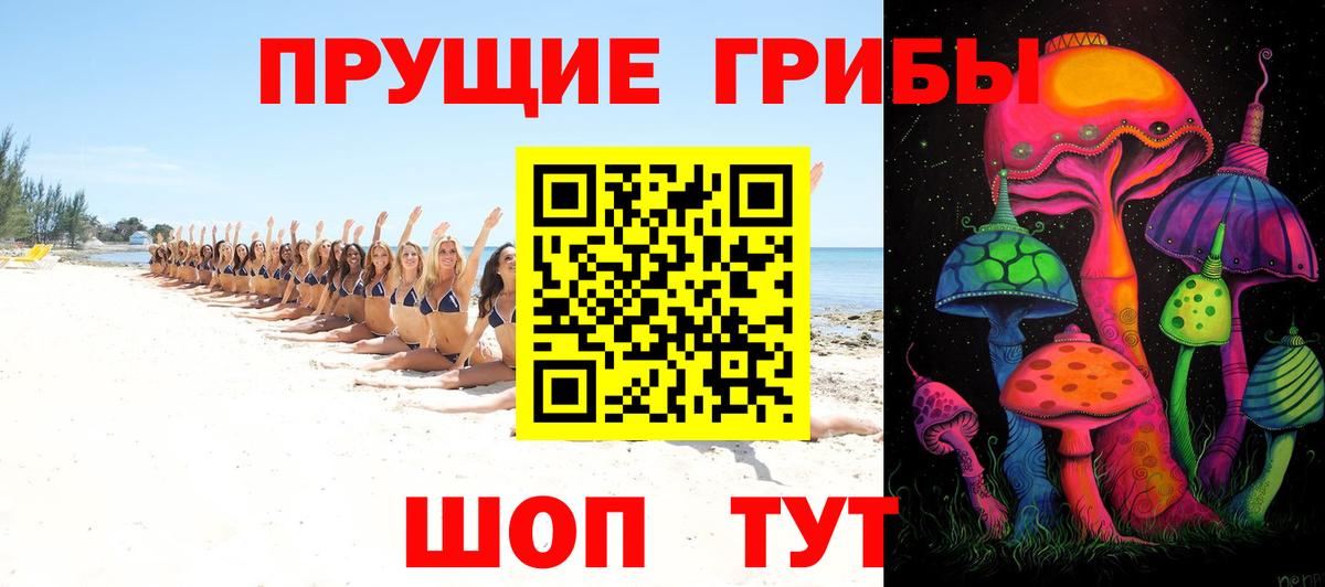 Галлюциногенные грибы Psilocybe Магадан
